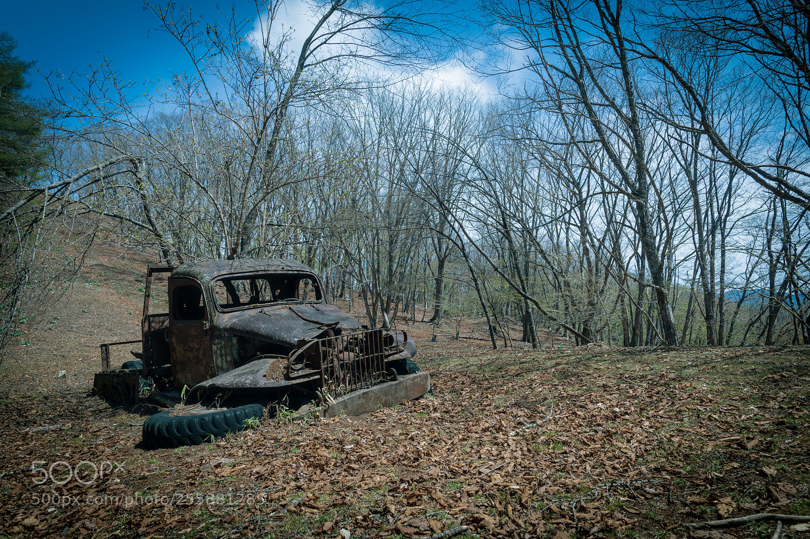 Nikon D850 sample photo. A scrapped car that photography