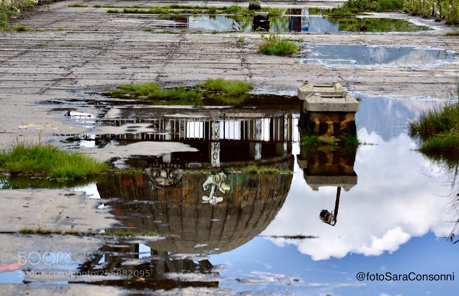 Nikon D7200 sample photo. Pezzi di consonno  photography