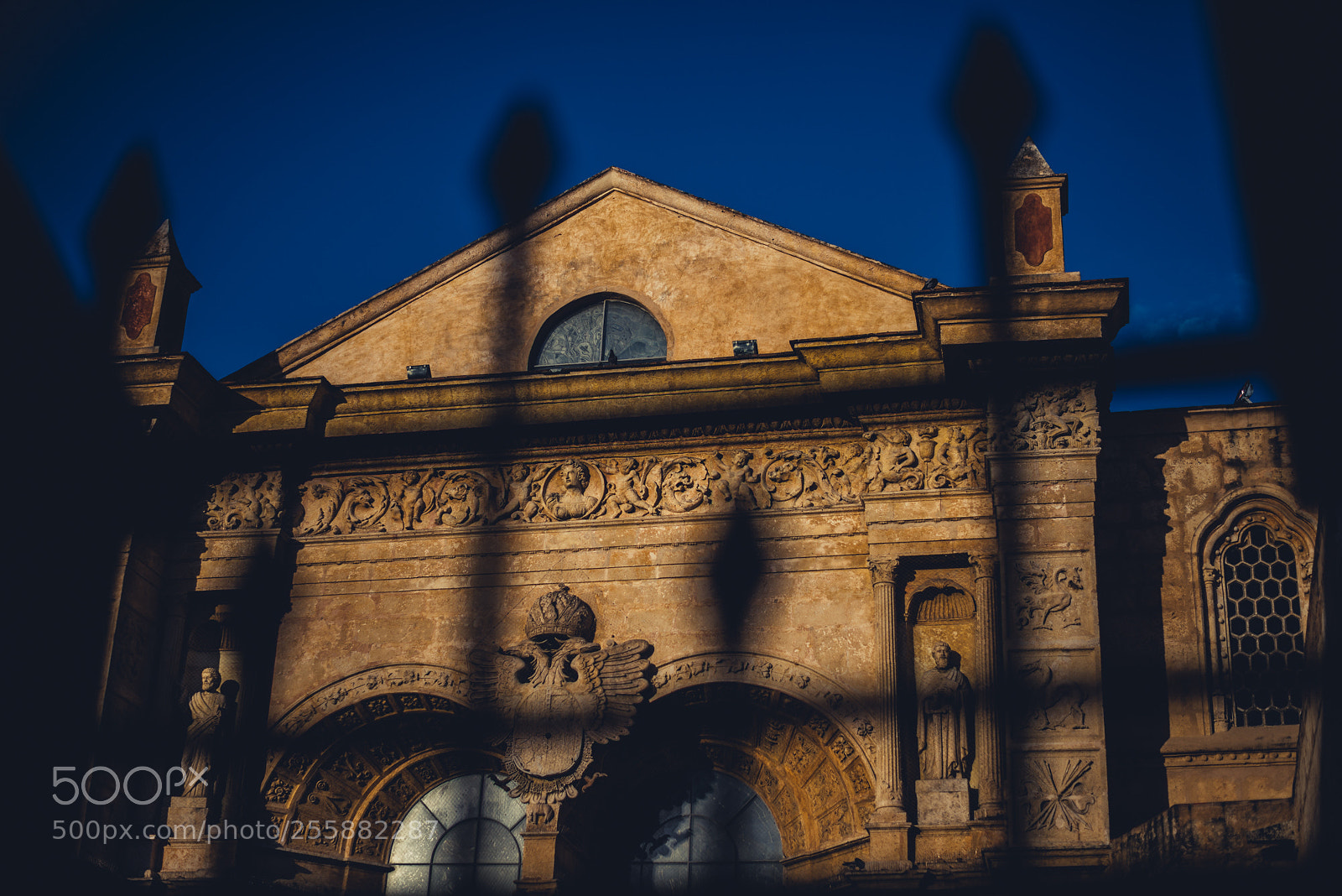 Nikon D800 sample photo. _8003518-2.jpg photography