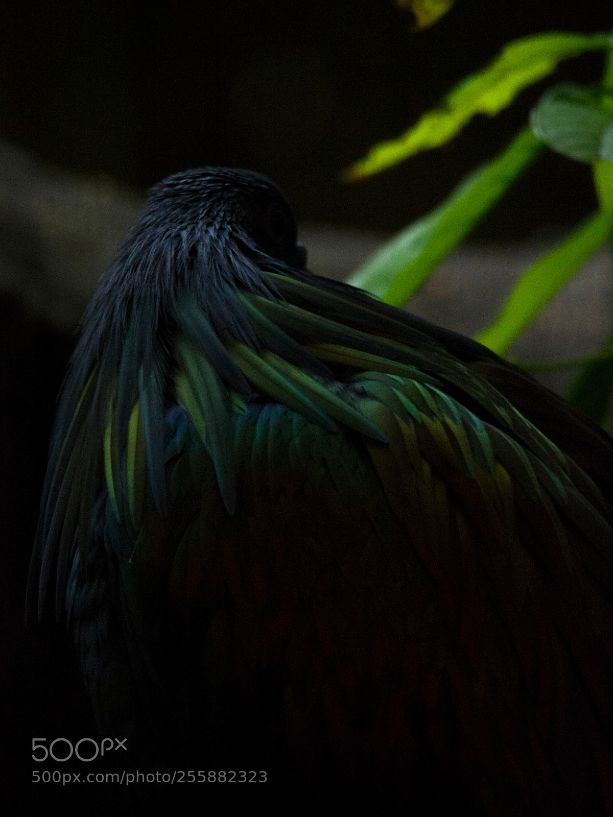 Olympus OM-D E-M5 sample photo. Thinking in the dark photography