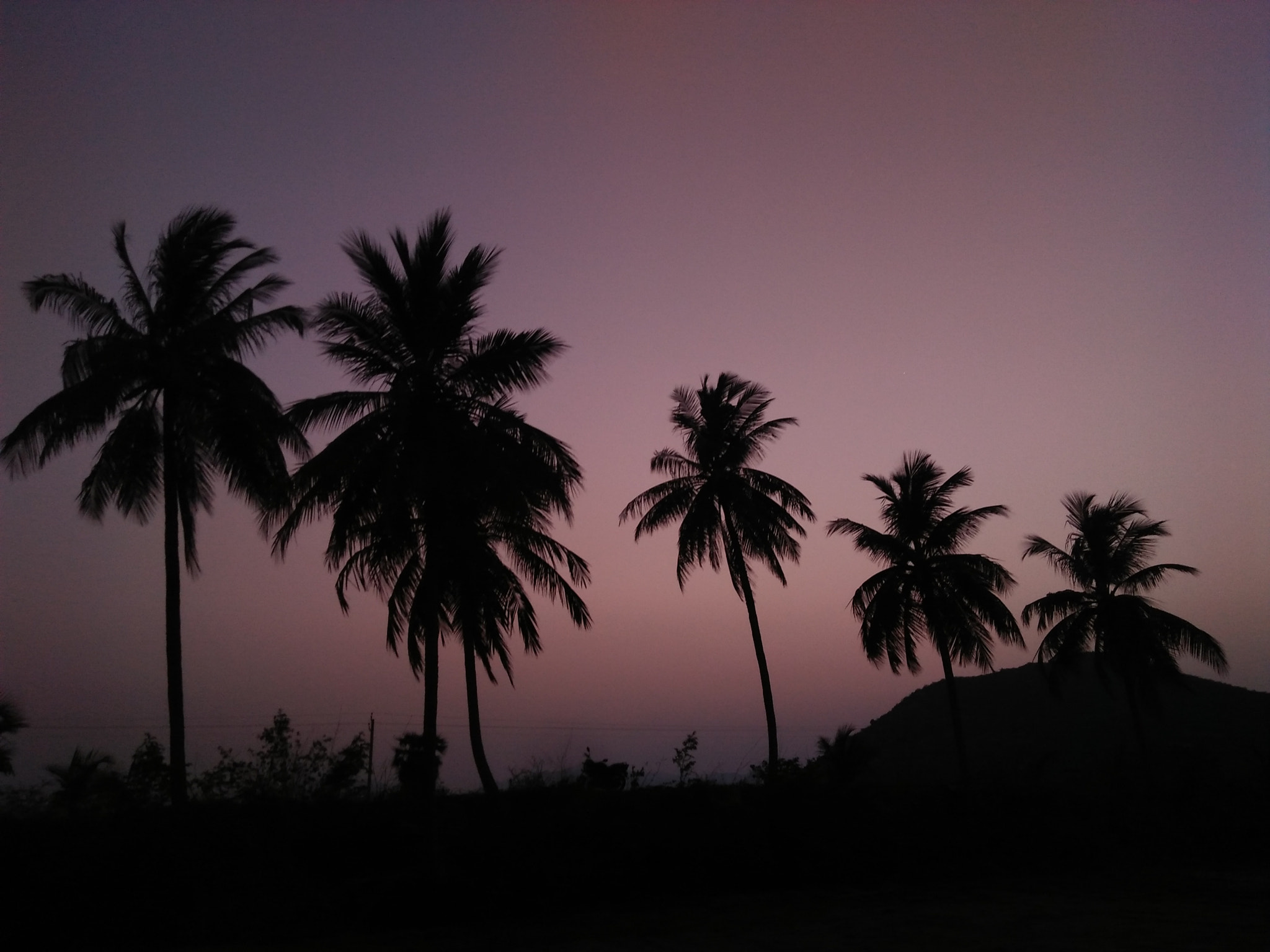 OPPO A37fw-International sample photo