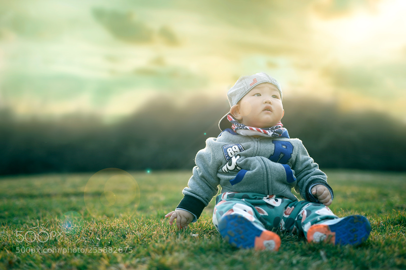 Canon EOS 6D Mark II sample photo. Untitled photography