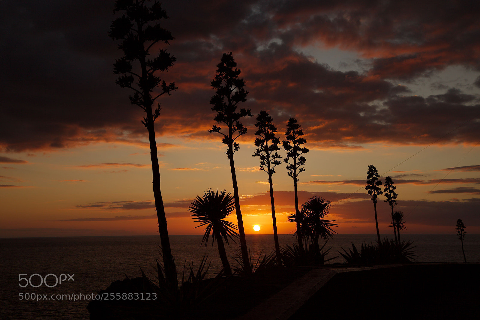 Canon EOS 5D Mark II sample photo. Sundown on madeira photography