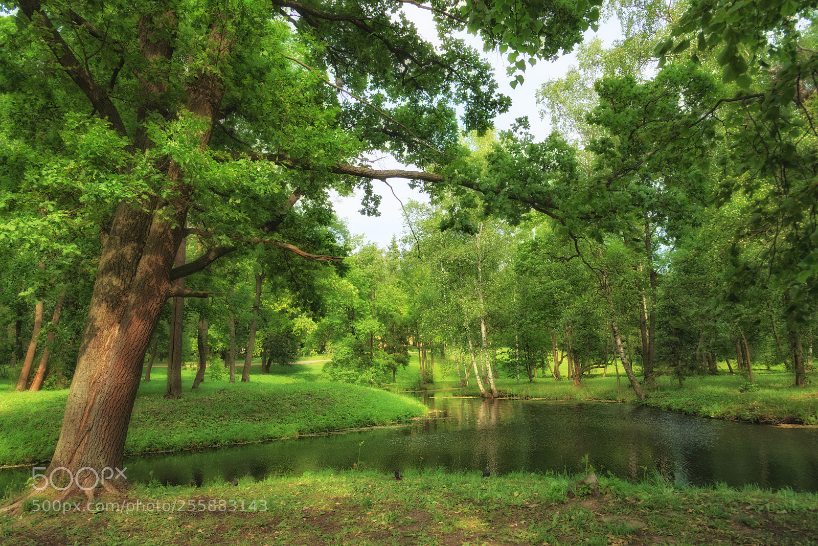 Nikon D800 sample photo. Lun_9532-1.jpg photography