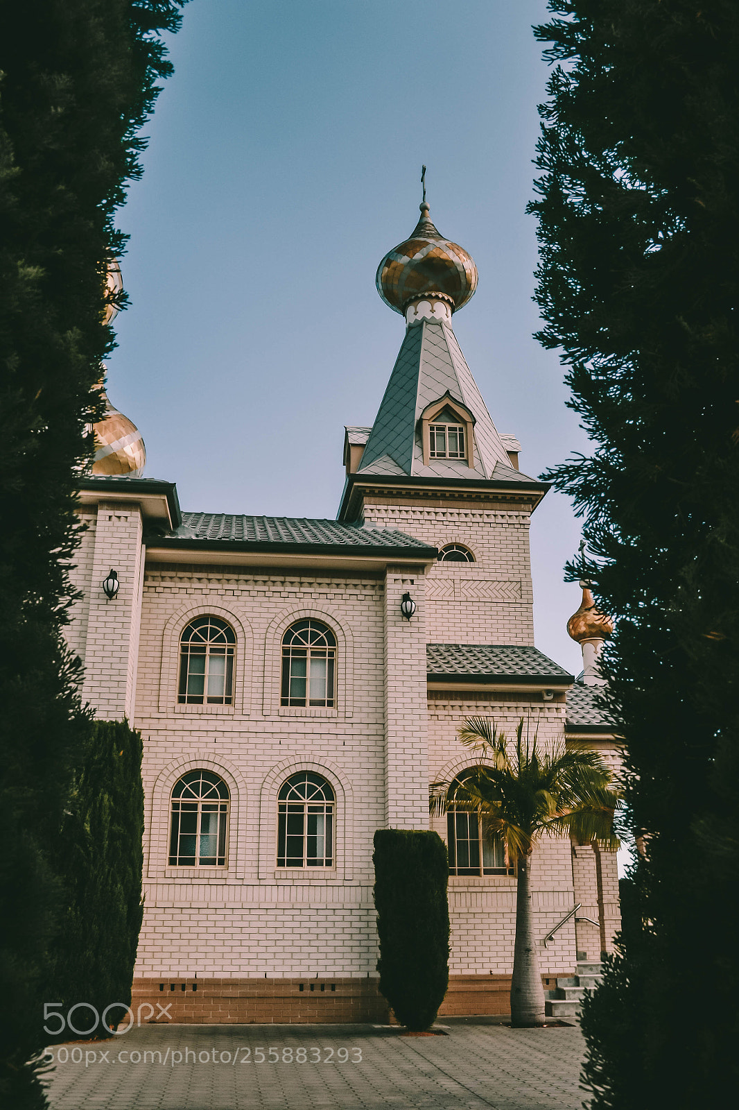 Nikon D3100 sample photo. Church photography