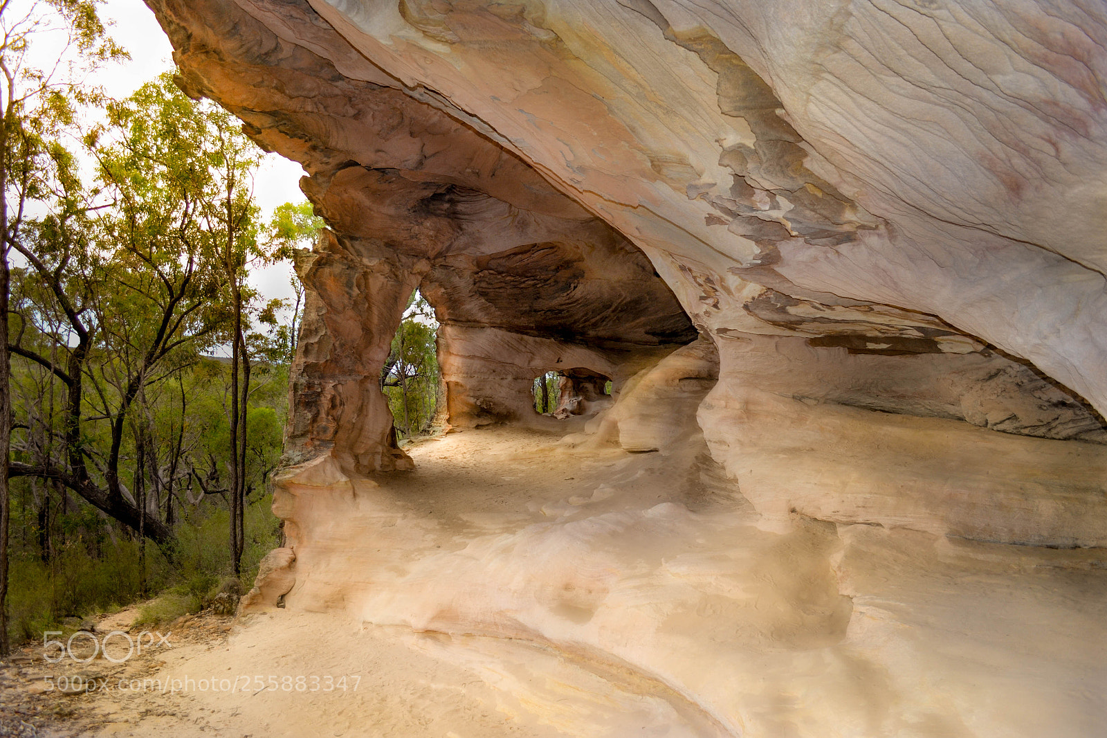 Nikon D3100 sample photo. Cave photography