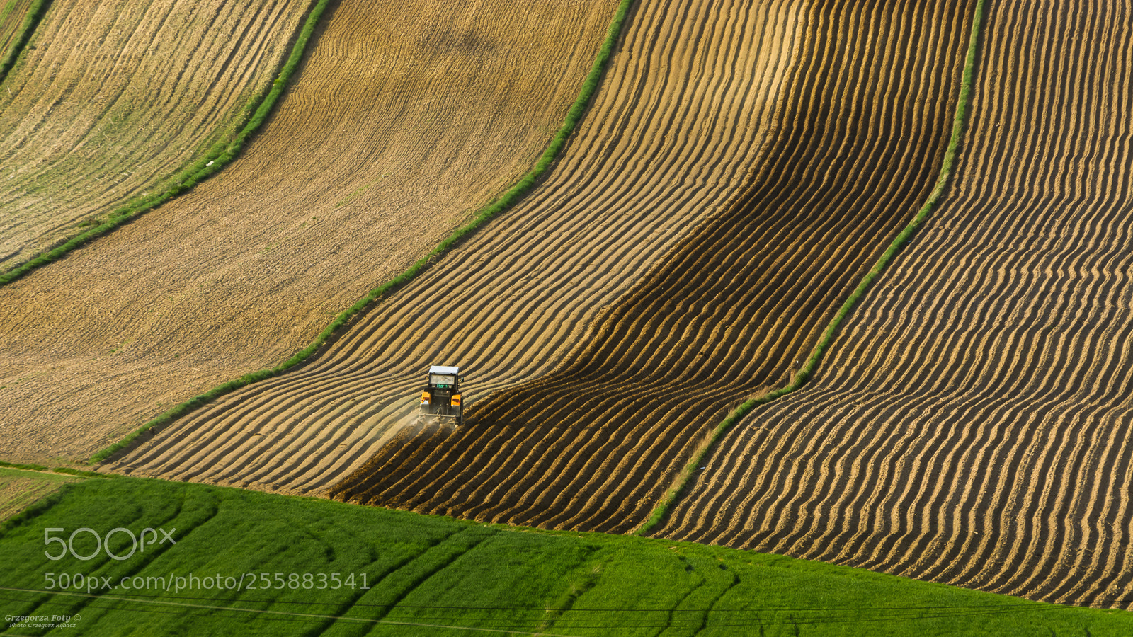 Nikon D7100 sample photo. Field painter photography