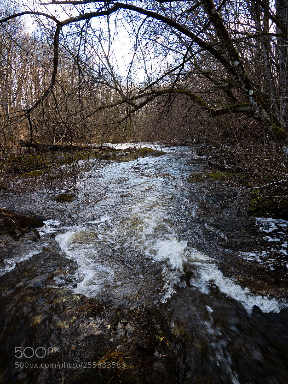 Panasonic Lumix DMC-G85 (Lumix DMC-G80) sample photo. Roaring waters photography