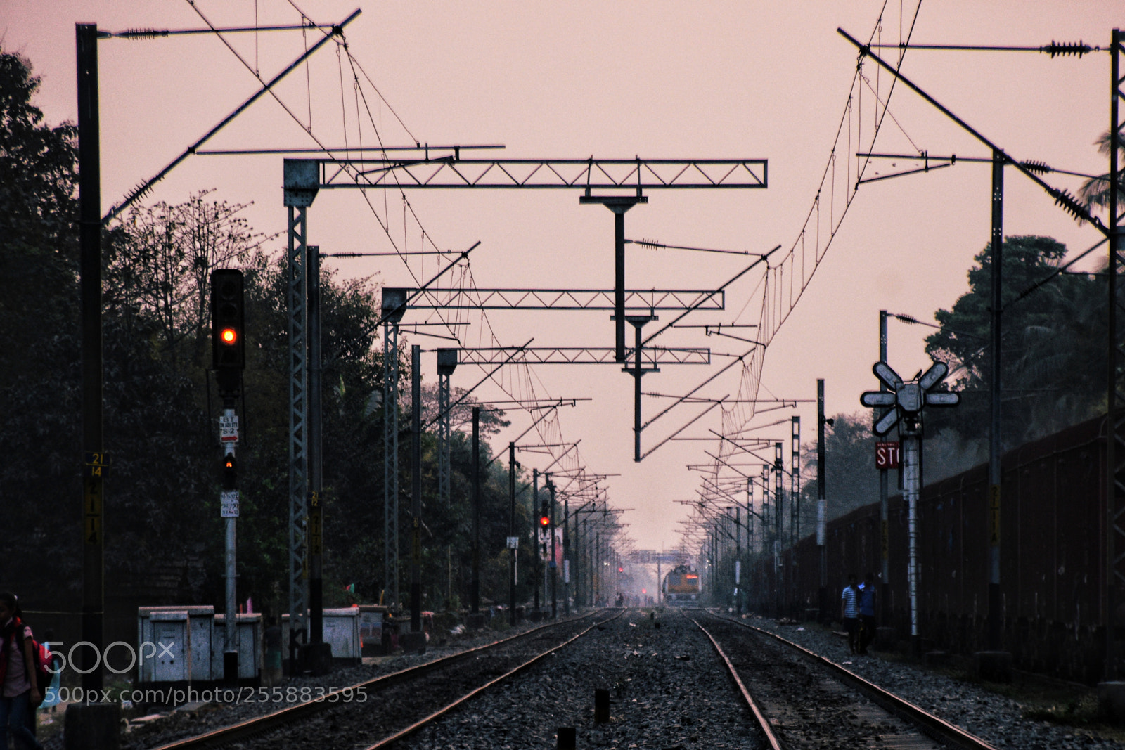 Nikon D7200 sample photo. Untitled photography