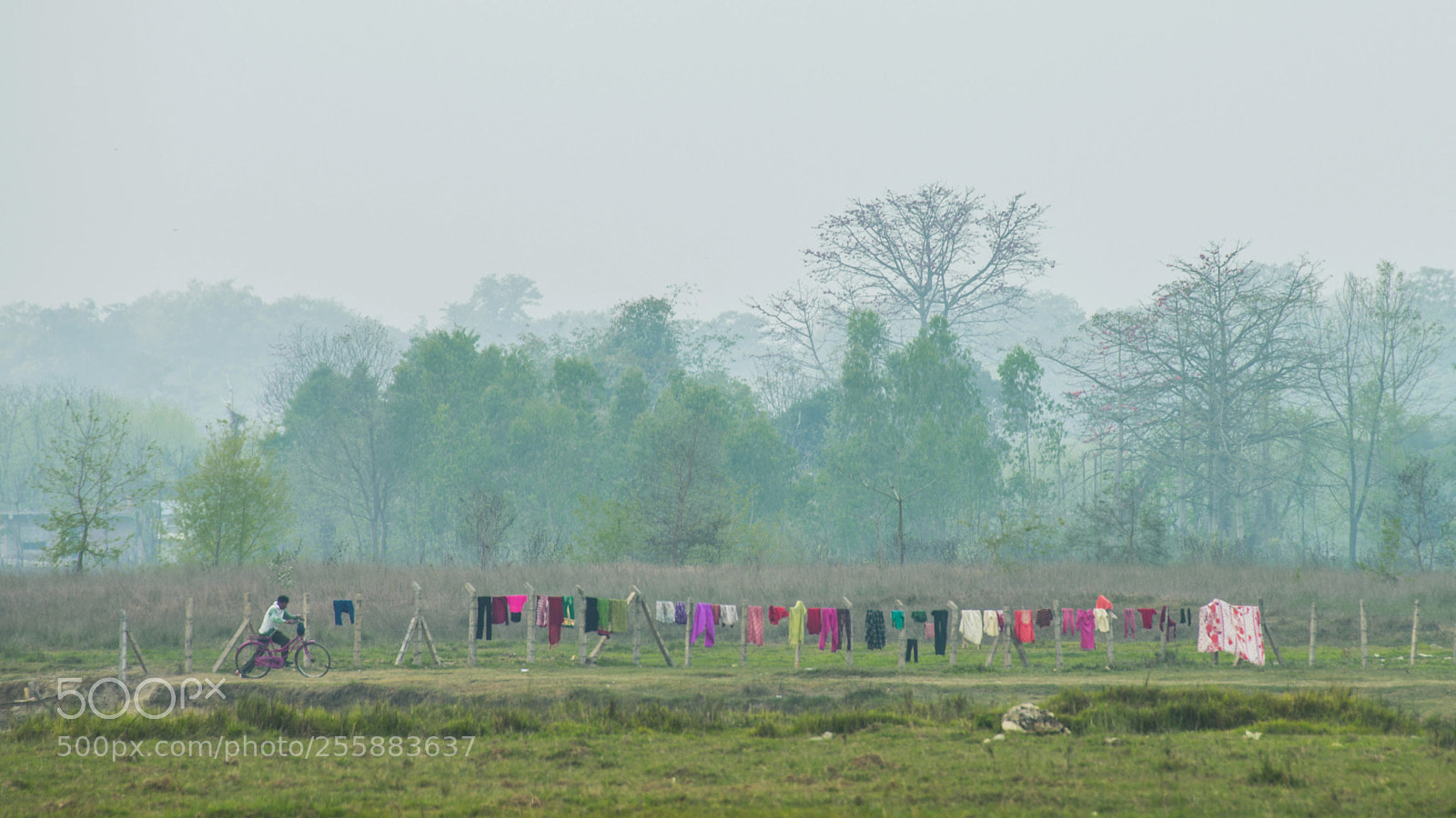 Nikon D610 sample photo. Field photography