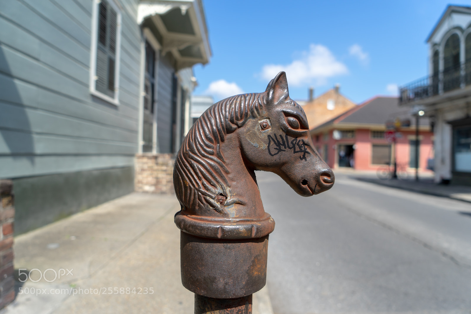 Sony a7 sample photo. Dsc photography
