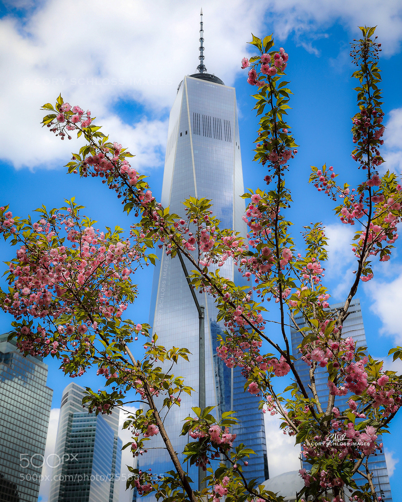 Canon EOS 5D Mark IV sample photo. Spring has sprung | nyc photography