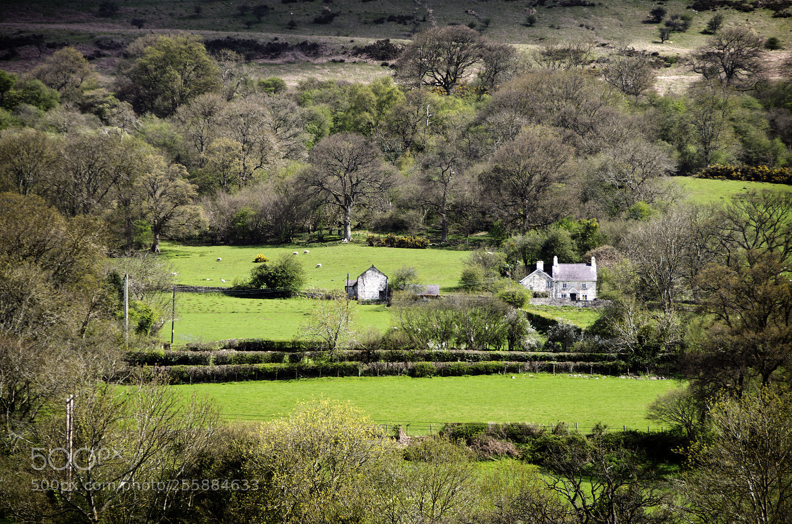 Nikon D7000 sample photo. House on the hill... photography