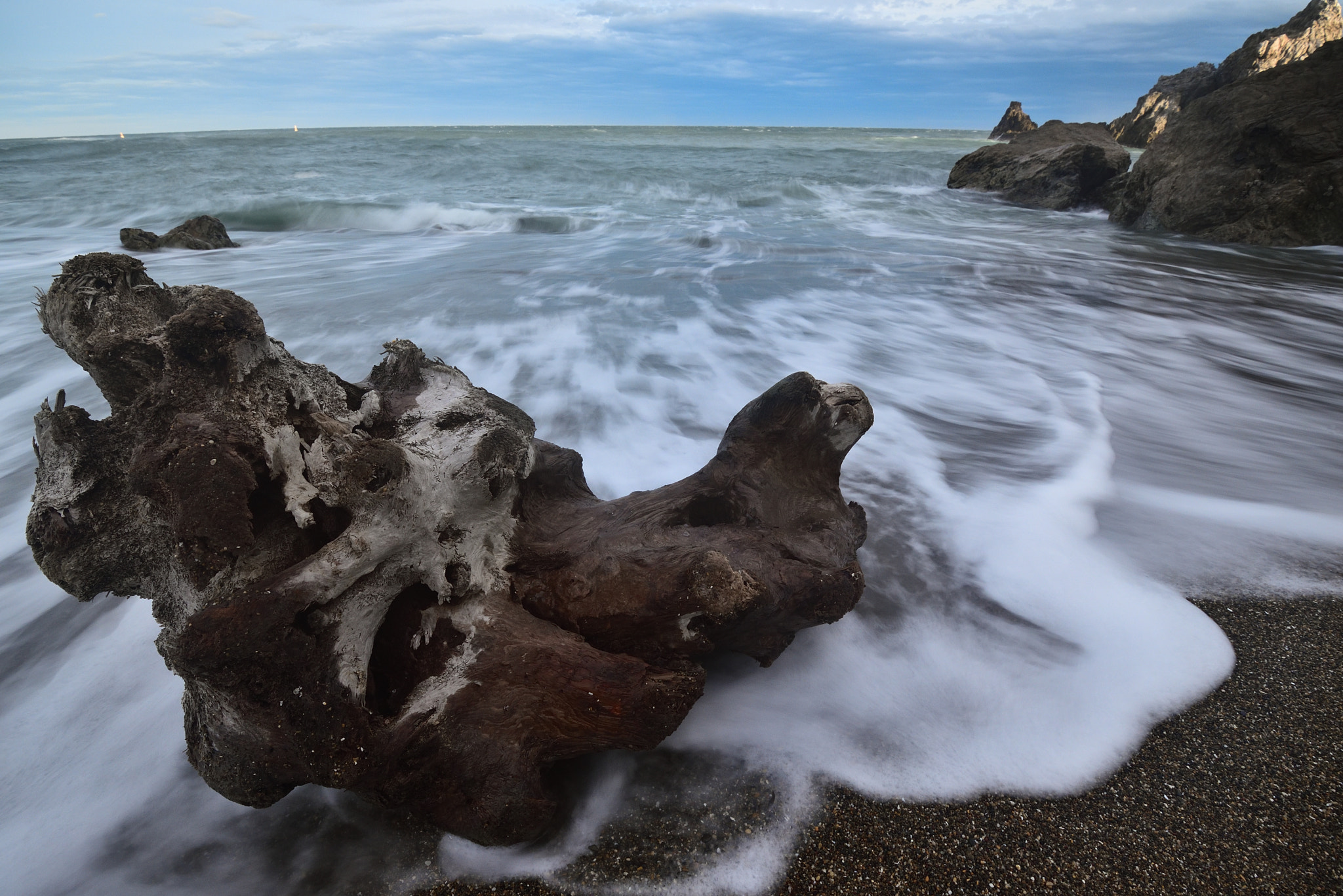 Nikon D750 + Nikon AF-S Nikkor 16-35mm F4G ED VR sample photo. Driftwood photography