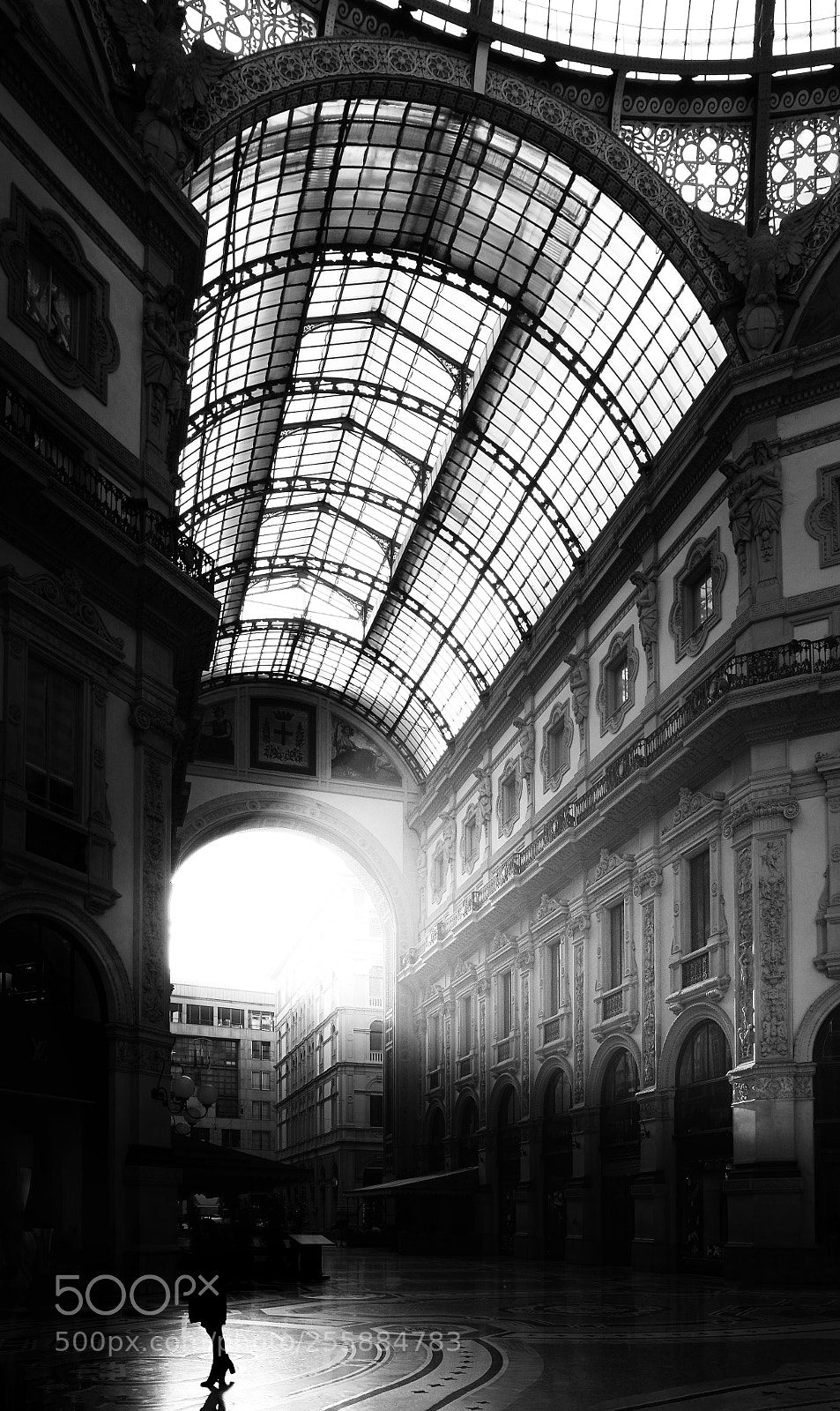 Nikon D500 sample photo. Morning atmosphere photography