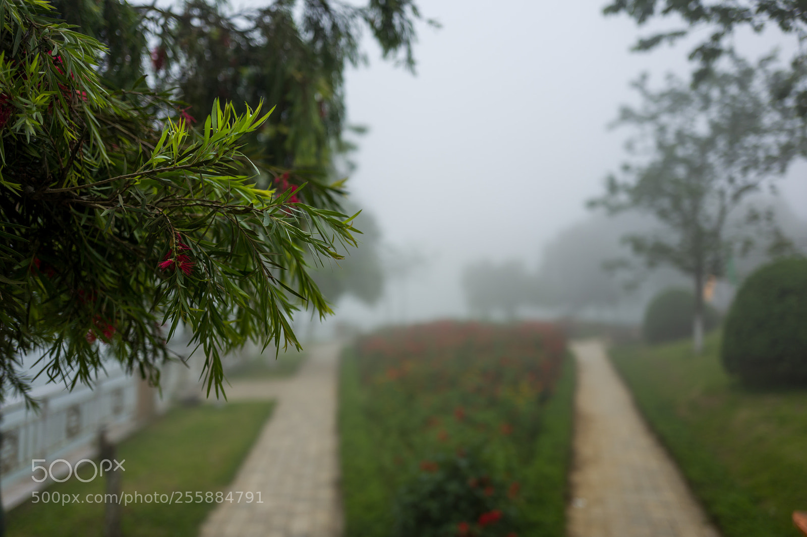 Leica Q (Typ 116) sample photo. Foggy landscape in sapa photography