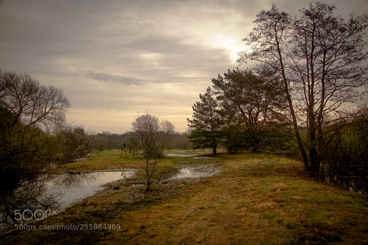Sony ILCA-77M2 sample photo. апрель photography