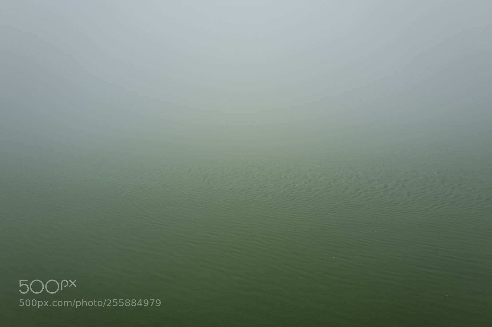 Leica Q (Typ 116) sample photo. Foggy landscape in sapa photography
