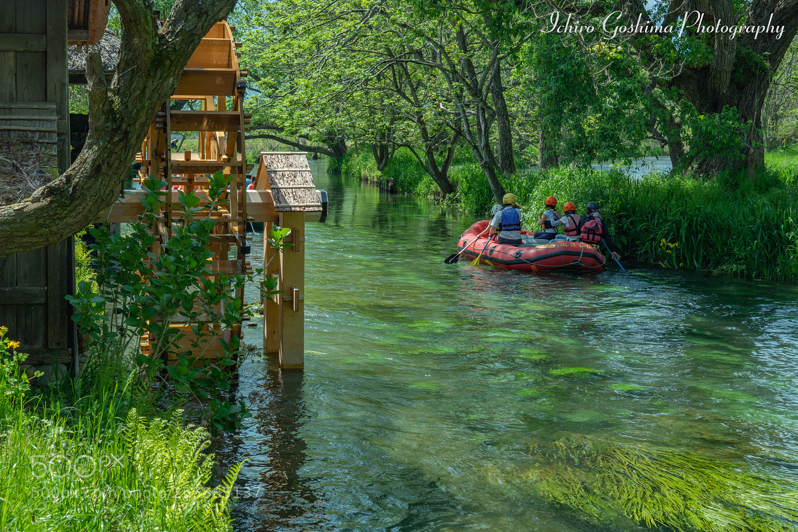 Sony a7R III sample photo. Daiou wasabi farm photography