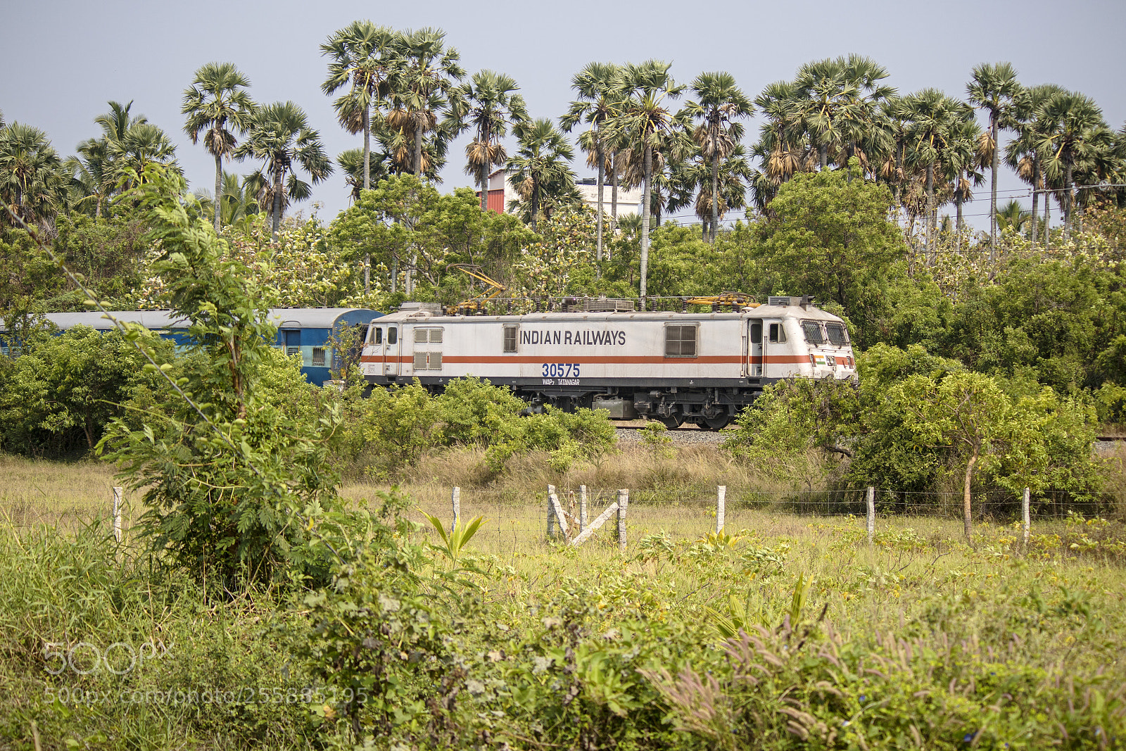 Canon EOS 7D Mark II sample photo. Beauty of indian countryside... photography