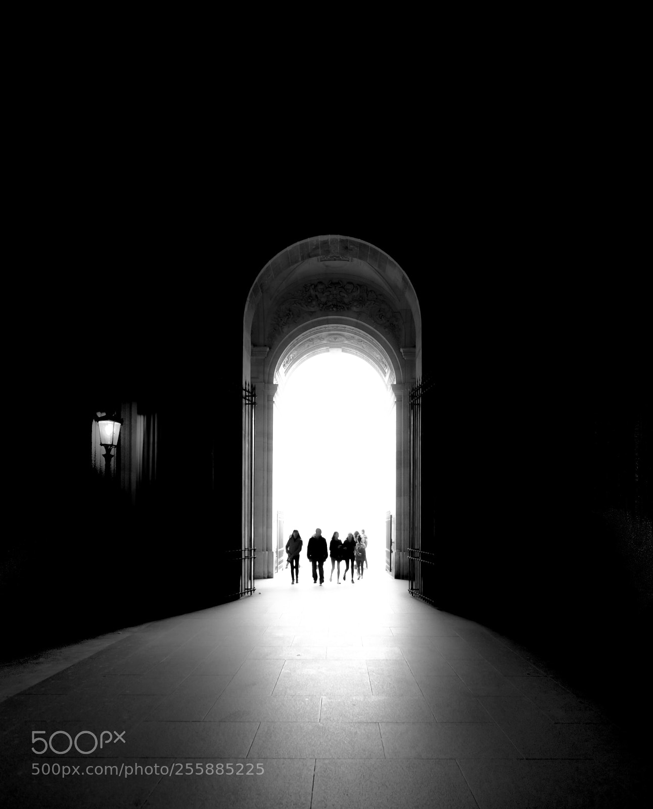 Nikon D7000 sample photo. Brun aux yeux noirs photography