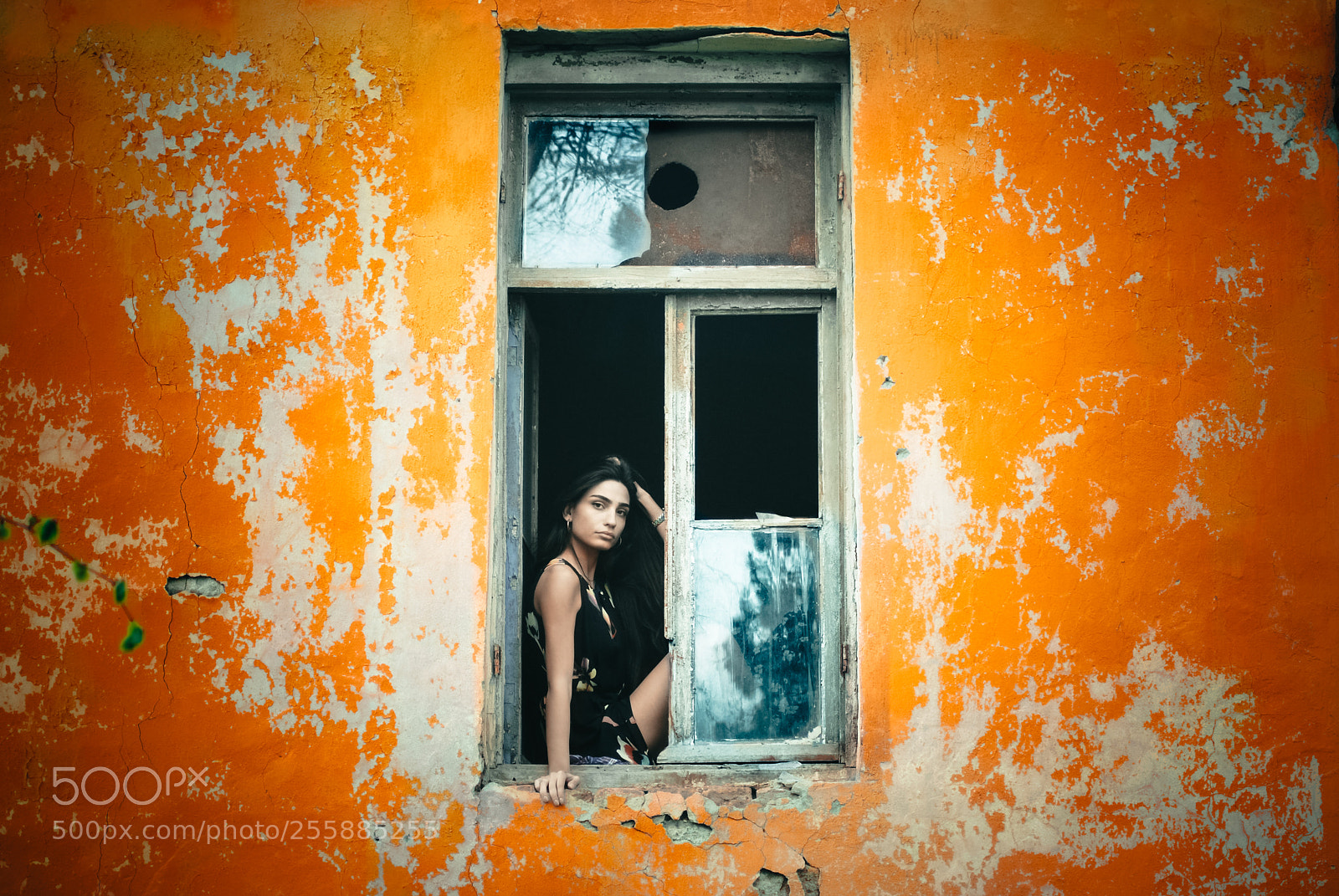 Nikon D3000 sample photo. Woman in the window photography