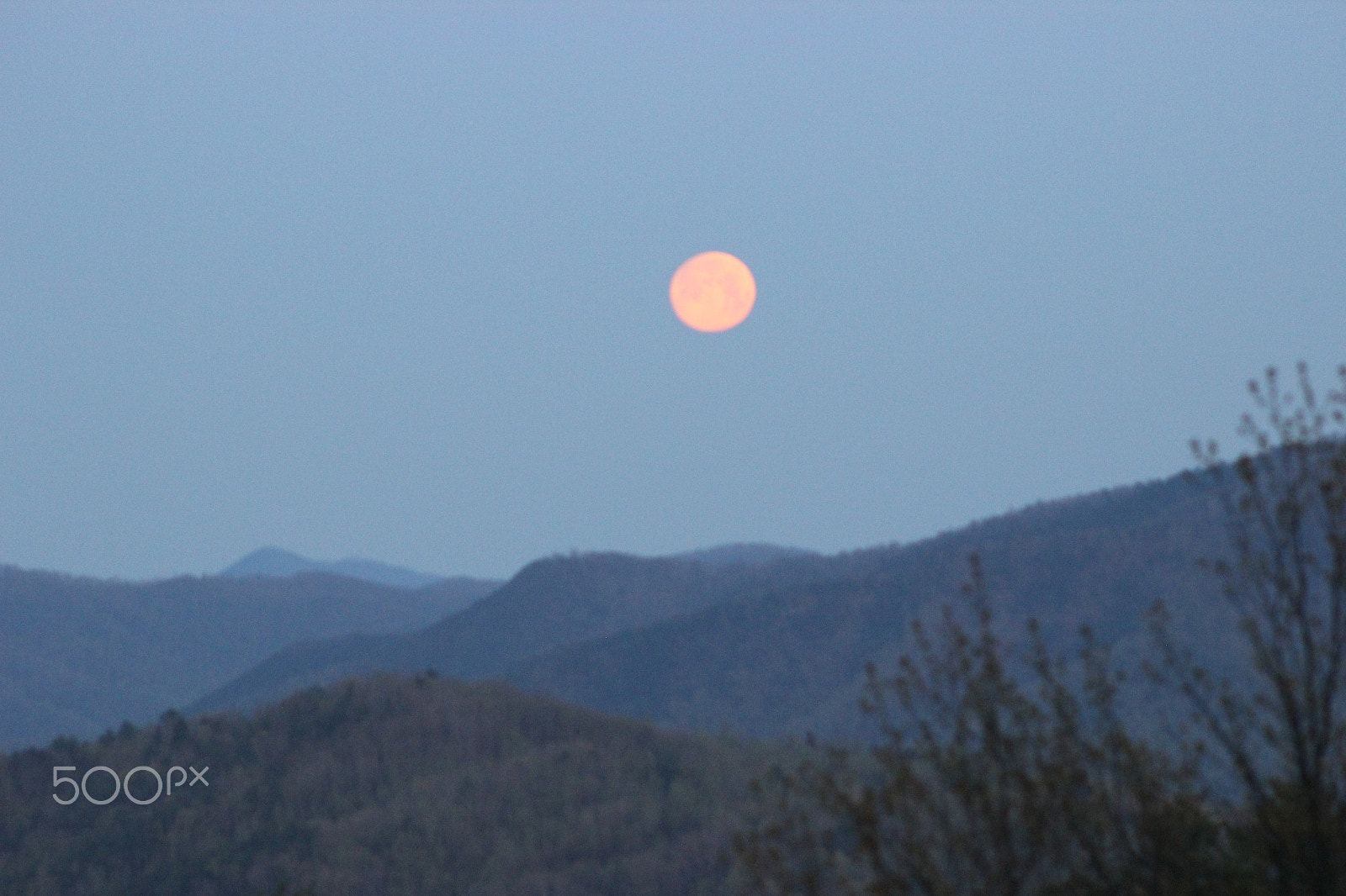 Canon EF 75-300mm f/4-5.6 sample photo. Img 3663 jpg photography