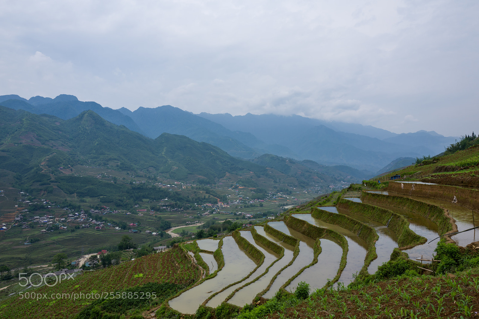 Leica Q (Typ 116) sample photo. Landscape and rice terraces photography