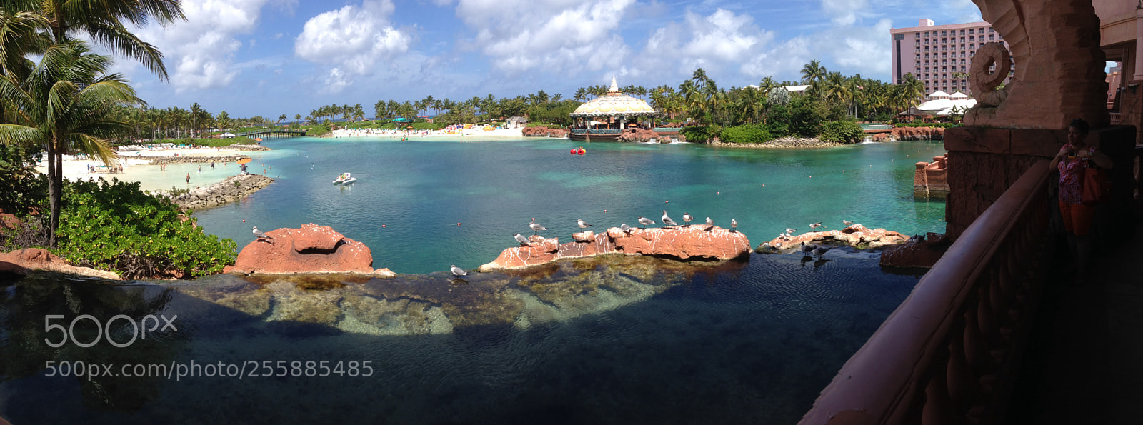 Apple iPhone 5 sample photo. Look how beautiful this photography