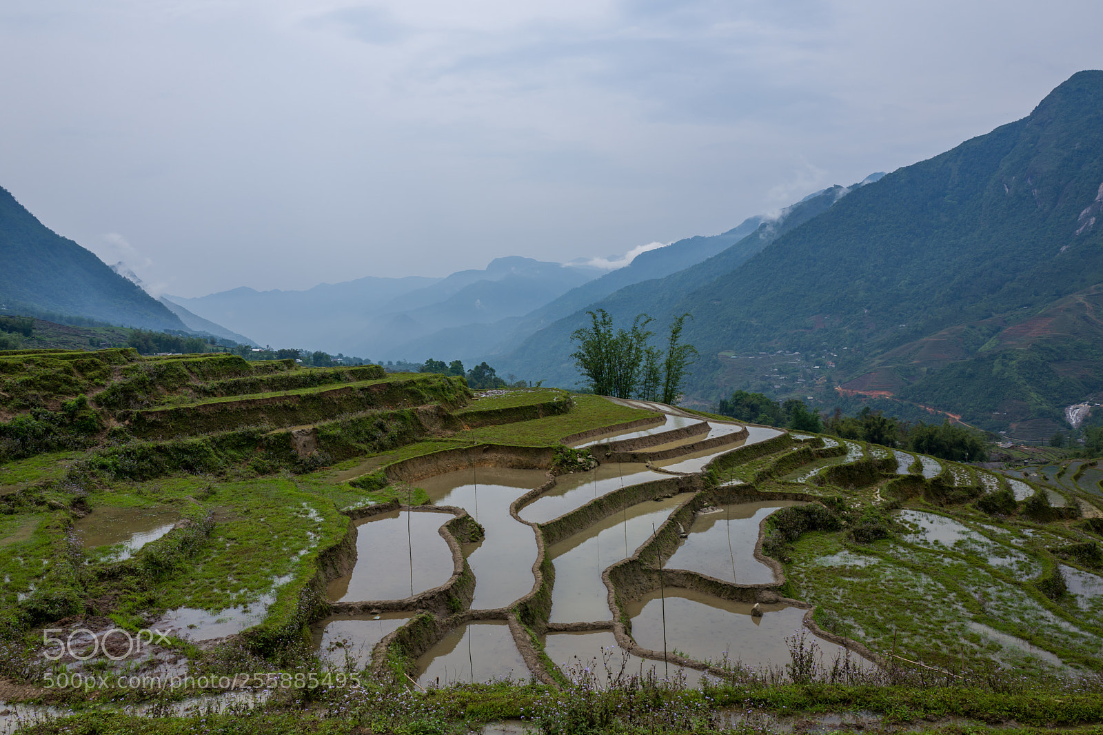 Leica Q (Typ 116) sample photo. Landscape and rice terraces photography