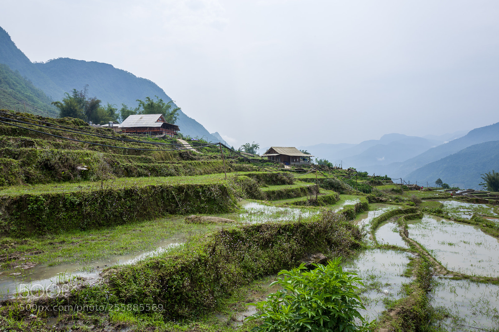 Leica Q (Typ 116) sample photo. Landscape and rice terraces photography