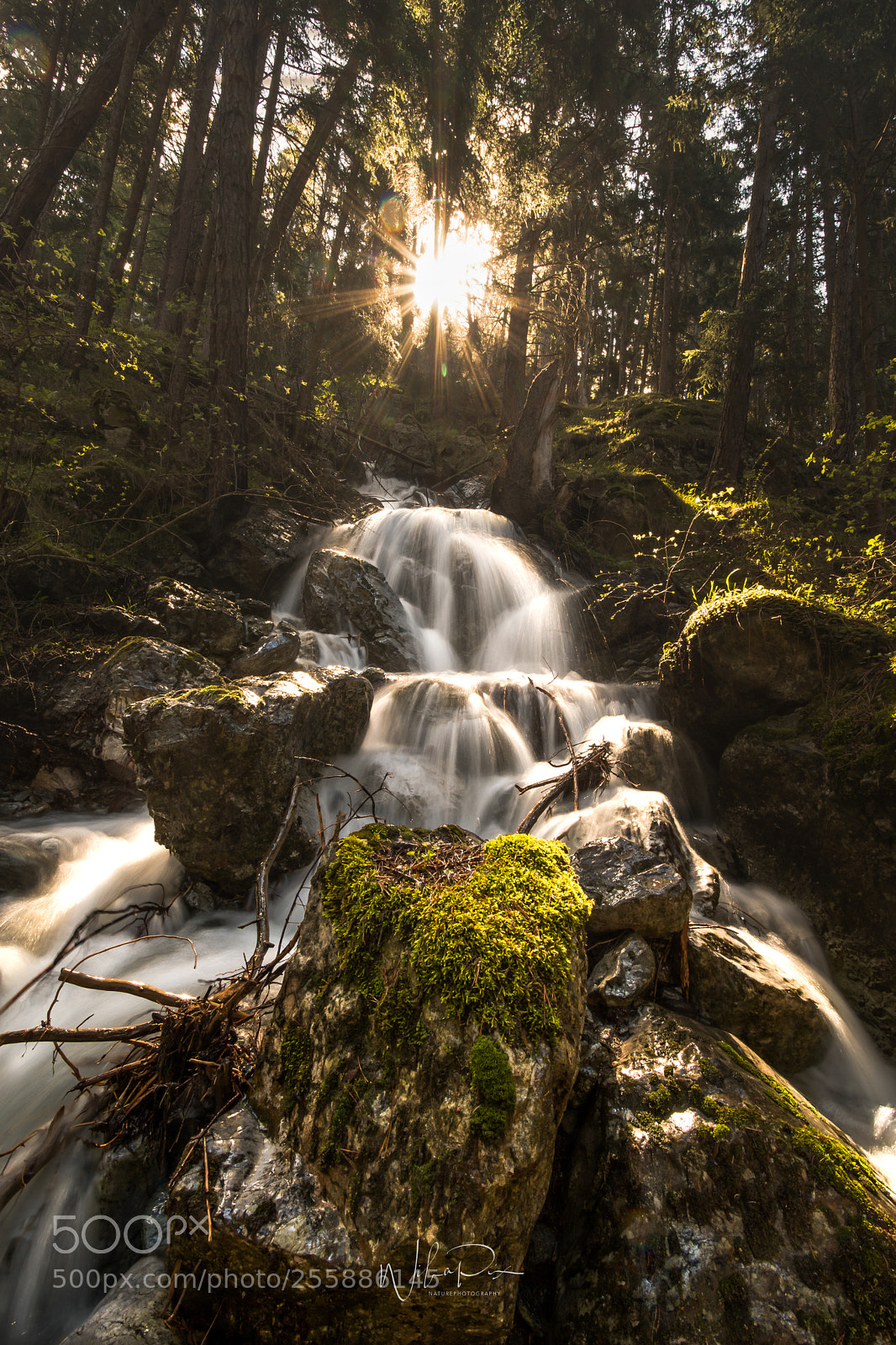 Nikon D500 sample photo. Morninglight photography