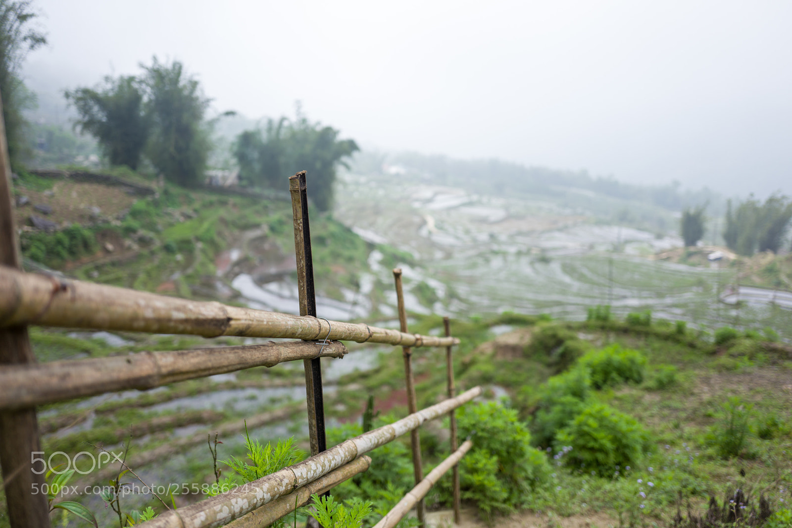 Leica Q (Typ 116) sample photo. Landscape and rice terraces photography