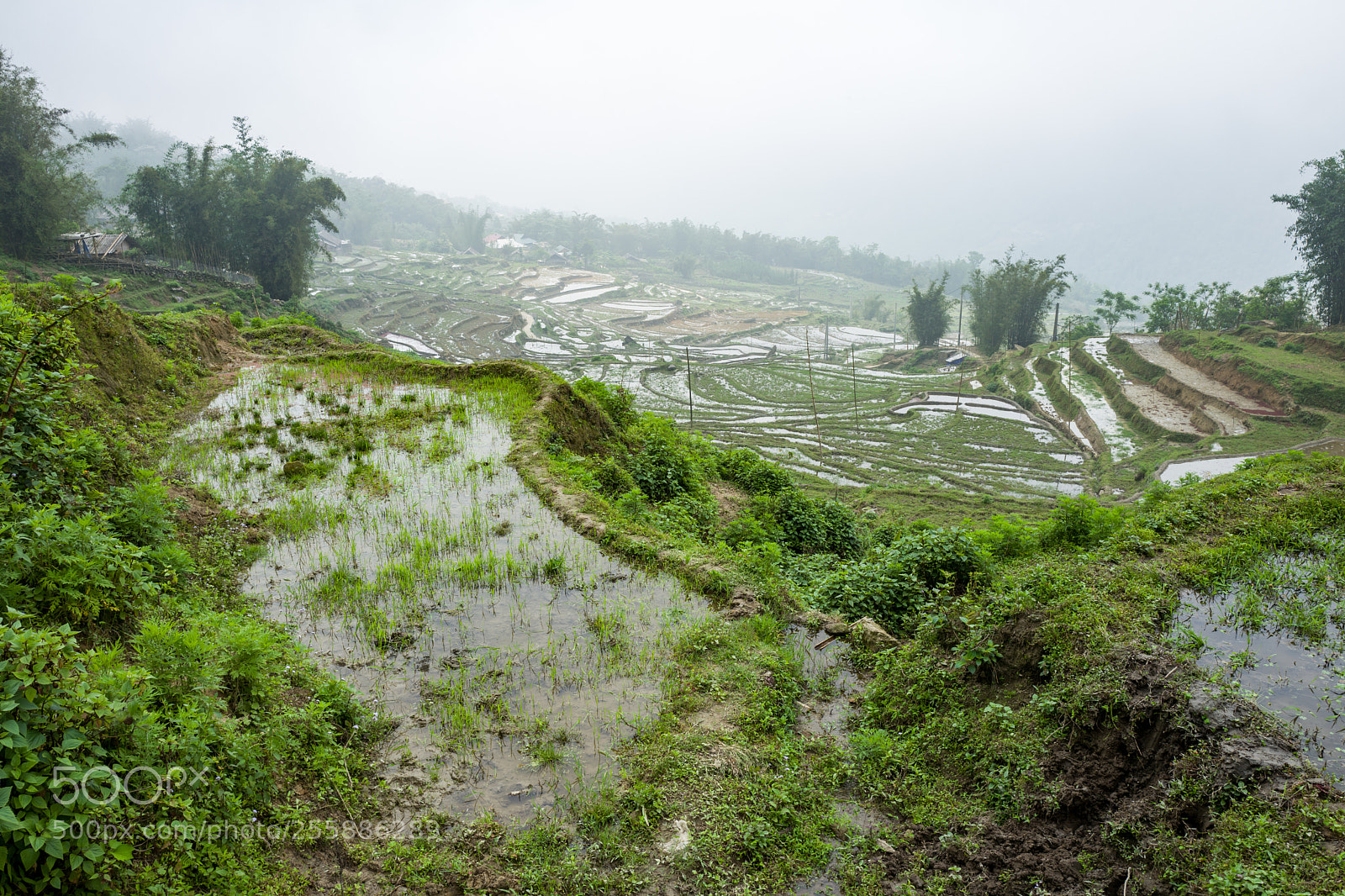 Leica Q (Typ 116) sample photo. Landscape and rice terraces photography
