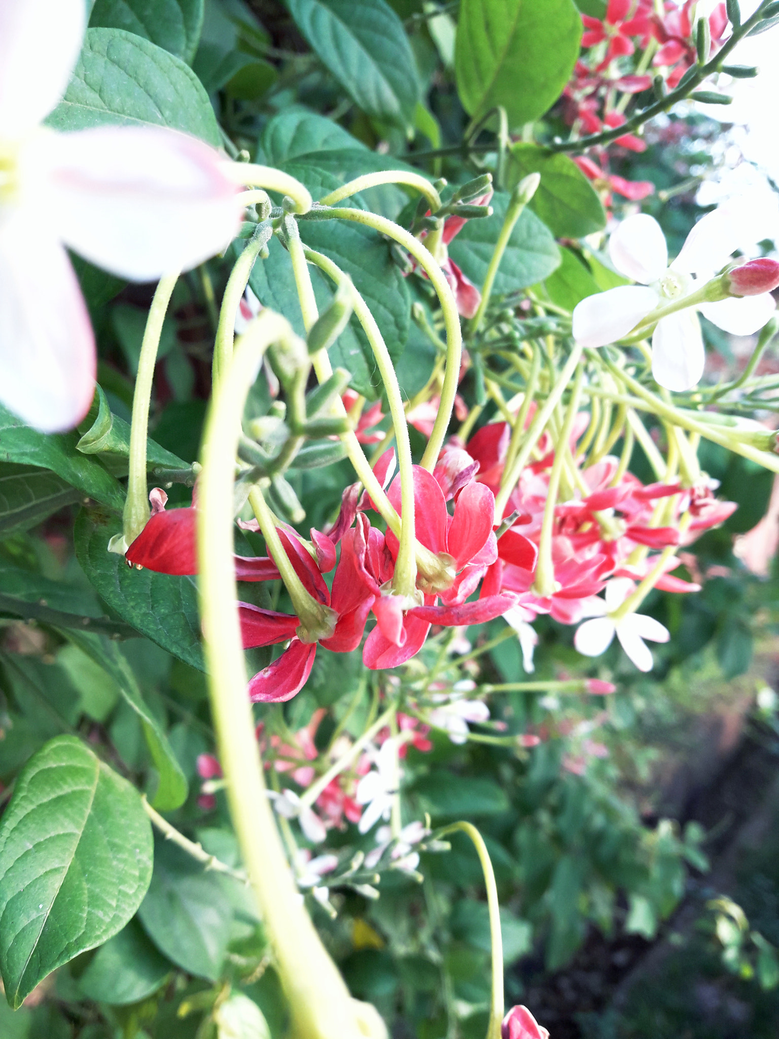 Samsung Galaxy J7 Neo sample photo