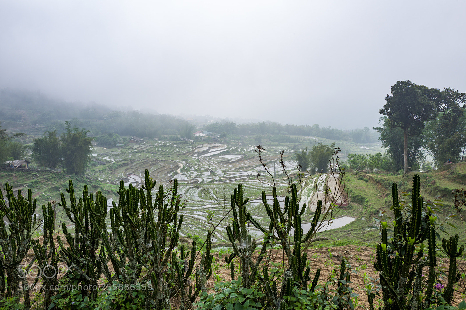 Leica Q (Typ 116) sample photo. Landscape and rice terraces photography