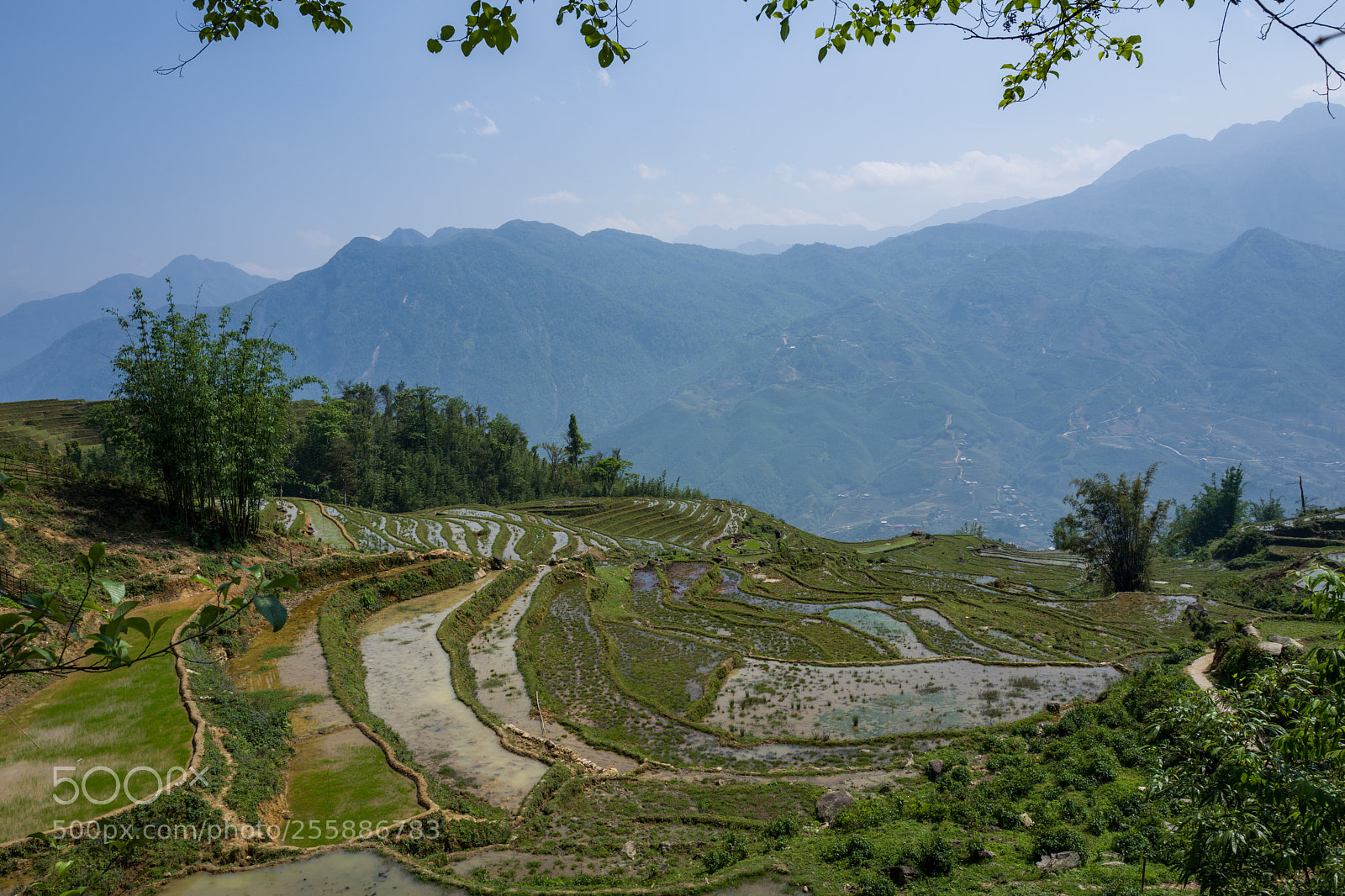 Leica Q (Typ 116) sample photo. Landscape and rice terraces photography