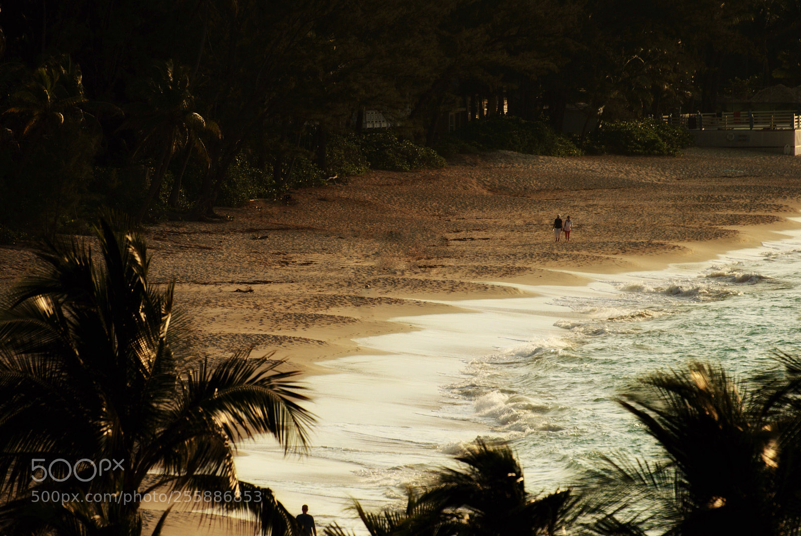 Nikon D3000 sample photo. Sunset stroll photography