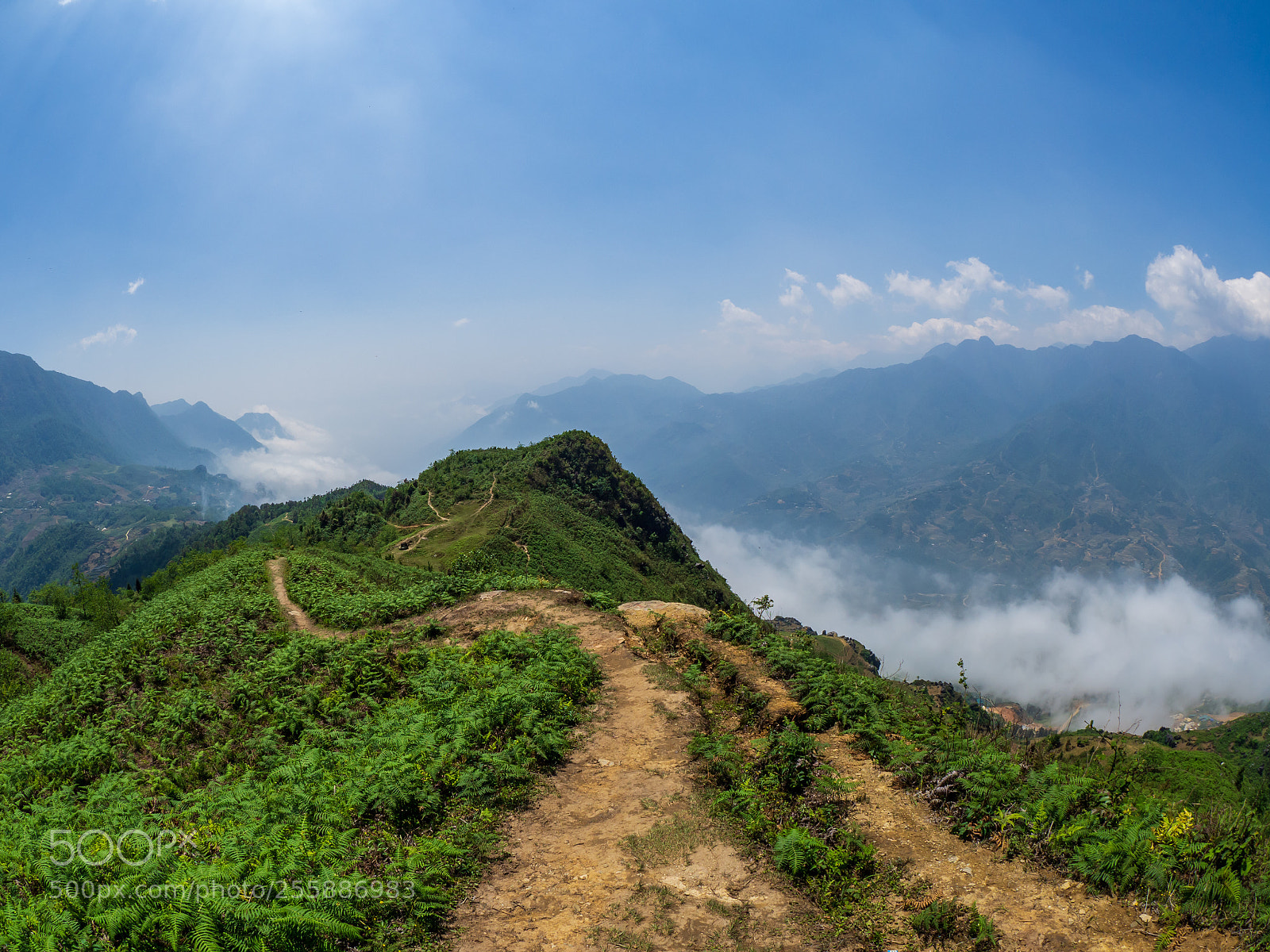 Olympus OM-D E-M10 II sample photo. Landscape and rice terraces photography