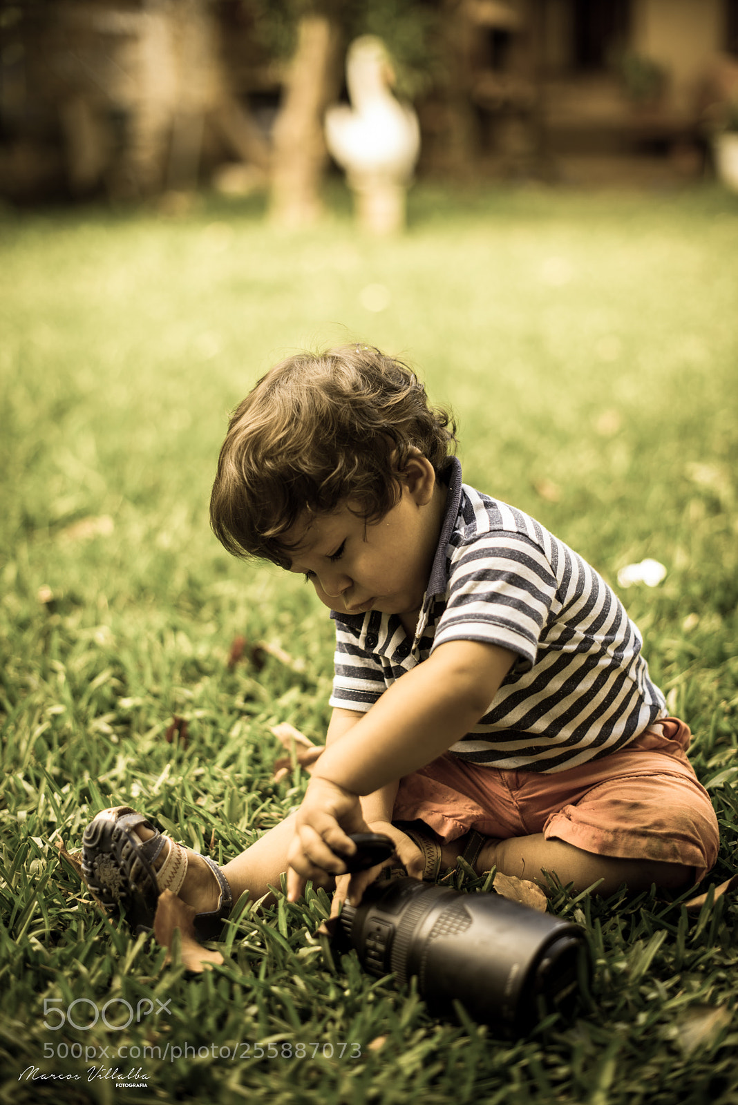 Nikon D610 sample photo. Sobrinito photography