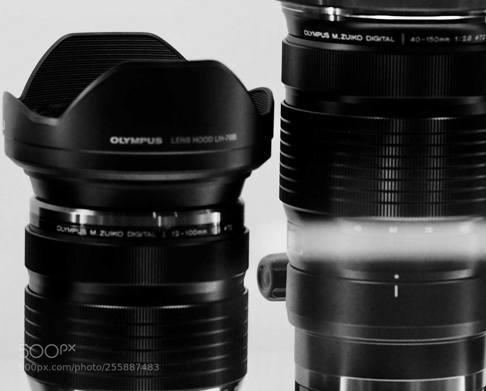 Olympus OM-D E-M10 sample photo. Glass behind glass photography
