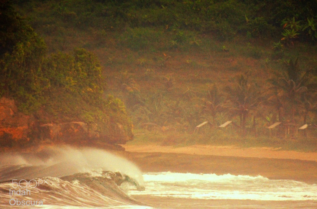 Nikon D500 sample photo. Ioi misty shorebreak photography
