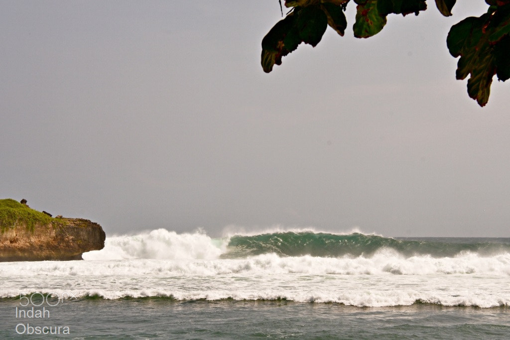 Nikon D500 sample photo. Ioi left hand reef break photography