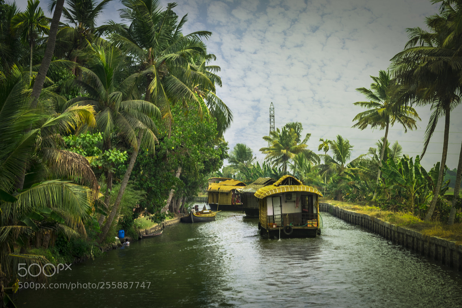 Nikon D3400 sample photo. House boat, backwaters,allepeye, kerela photography