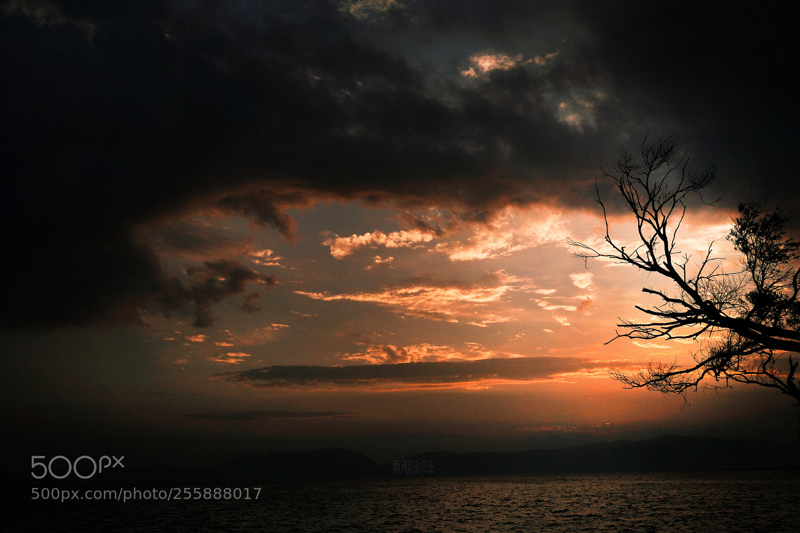 Sony a7 sample photo. 《heaven》 photography