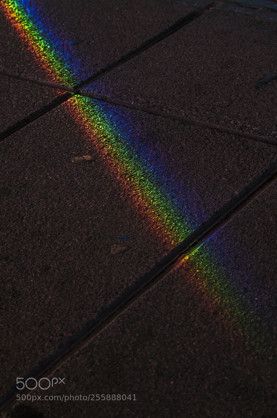 Pentax K-50 sample photo. _ photography