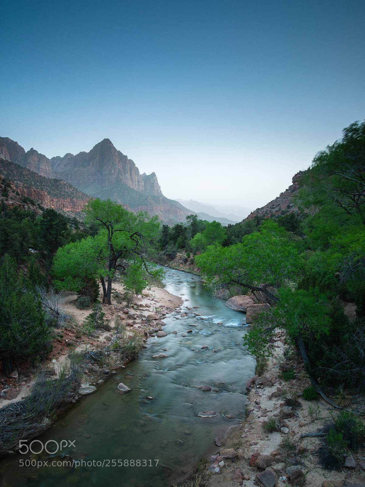 Olympus OM-D E-M5 sample photo. Zion national park photography