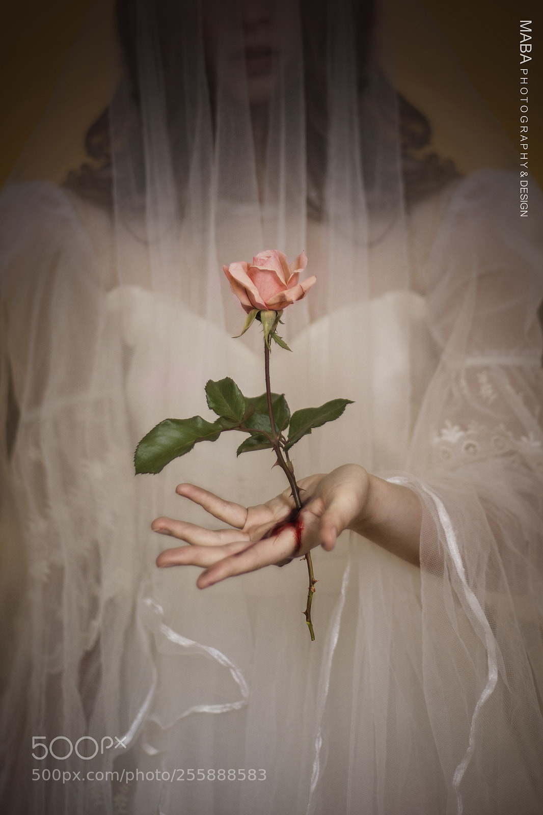 Nikon D610 sample photo. Flagelo. photography