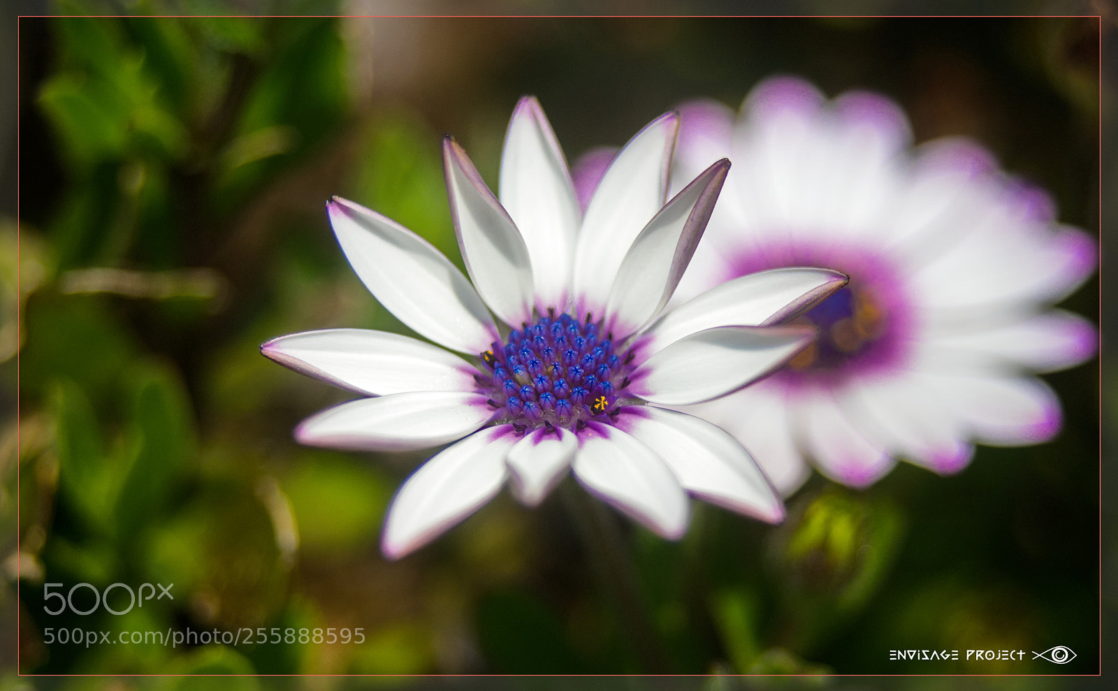 Sony a7R sample photo. First photography