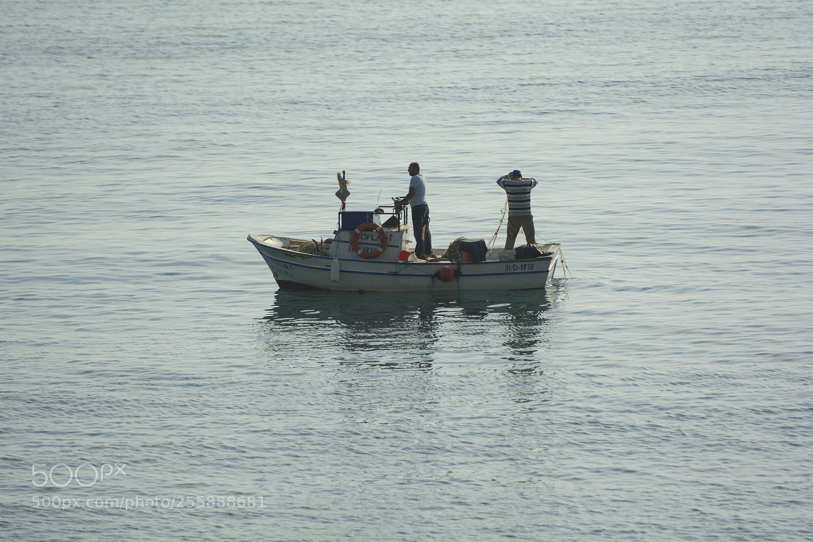 Nikon D7100 sample photo. Untitled photography